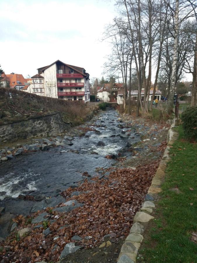 Ferienwohnung Malia In Waldnaehe Mit Schoenem Balkonausblick Bad Harzburg Εξωτερικό φωτογραφία