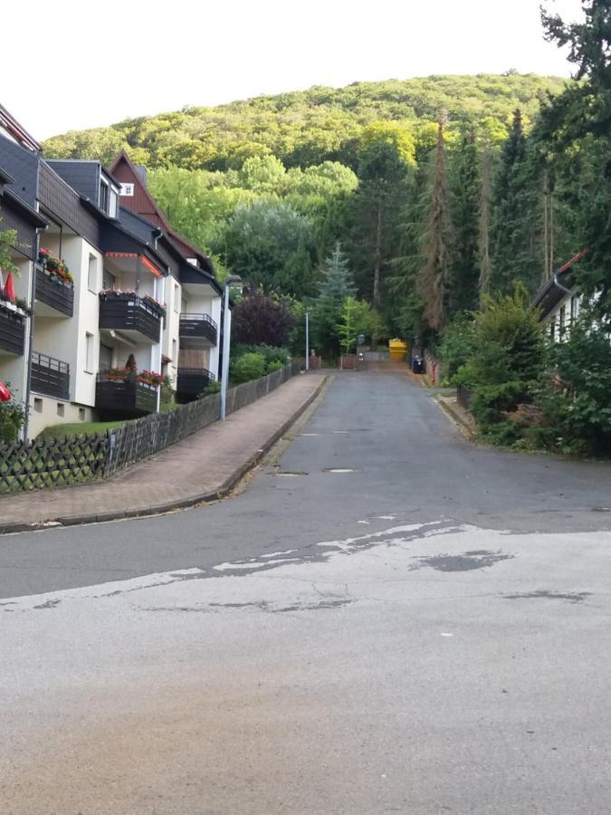 Ferienwohnung Malia In Waldnaehe Mit Schoenem Balkonausblick Bad Harzburg Εξωτερικό φωτογραφία
