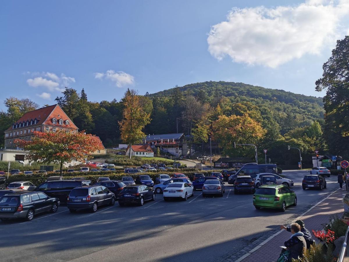 Ferienwohnung Malia In Waldnaehe Mit Schoenem Balkonausblick Bad Harzburg Εξωτερικό φωτογραφία